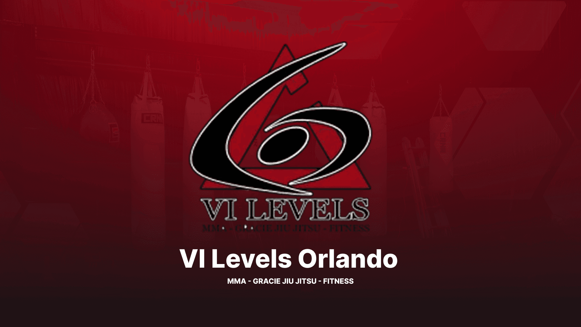 6 Levels MMA and Fitness Center